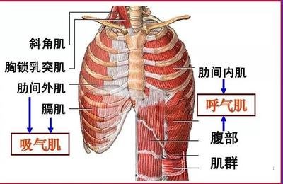 &#31859;&#20848;